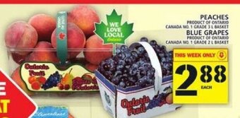 Food Basics Peaches offer