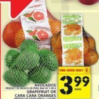 Food Basics Avocados offer