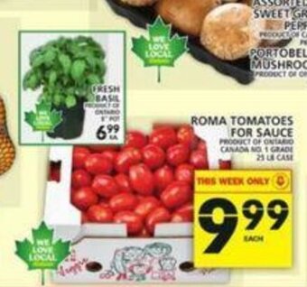 Food Basics Roma tomatoes for sauce offer