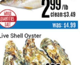 Nations Fresh Foods Live shell oyster offer