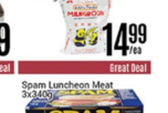 Nations Fresh Foods Spam luncheon meat offer