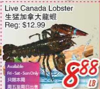 Foody Mart Live canada lobster offer