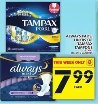 Food Basics Always Pads Liners or Tampax Tampons offer