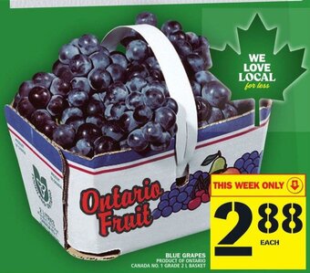 Food Basics Blue Grapes offer