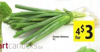 Save on Foods Green Onions offer