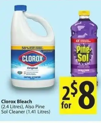 Clorox Bleach