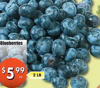 Westfort Foods Blueberries offer