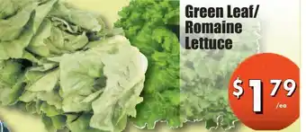Westfort Foods Green Leaf/ Romaine Lettuce offer