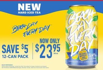 The Beer Store Beach day every day offer