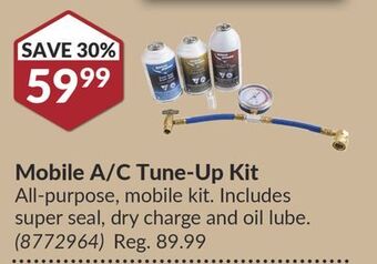 Princess Auto Mobile a/c tune-up kit offer