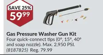 Princess Auto Gas pressure washer gun kit offer