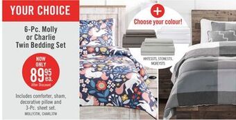 The Brick Molly 3-piece twin comforter set offer