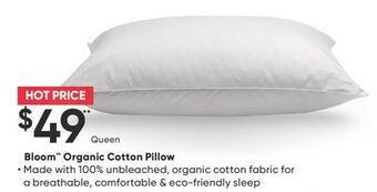 Sleep Country Bloom organic cotton pillow offer