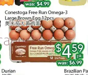 Ample Food Market Conestoga Free Run Omega-3 Large , Brown Egg offer