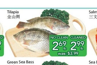 Ample Food Market Tilapia offer