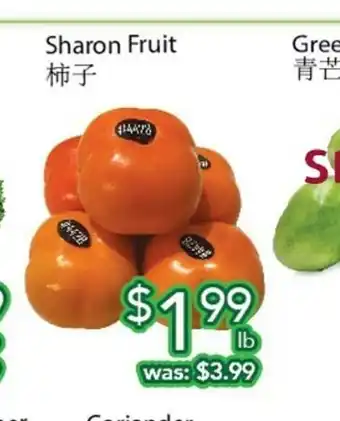 Ample Food Market Sharon Fruit offer