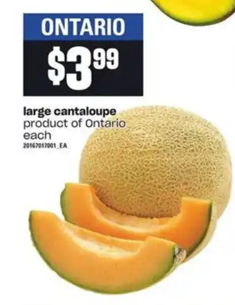 Zehrs Markets Large Canraloupe offer
