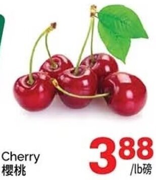 T&T Supermarket Cherry offer
