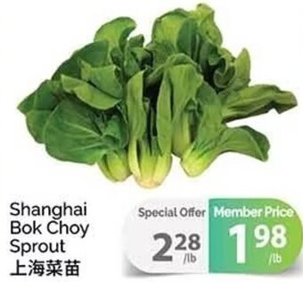 T&T Supermarket Shanghai Bok Choy Sprout offer
