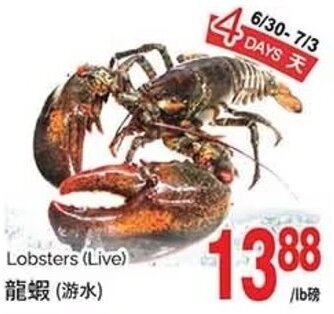 T&T Supermarket Lobsters (Live) offer