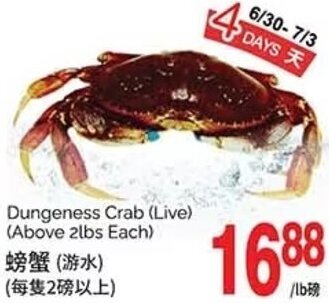 T&T Supermarket Dungeness Crab (Live) (Above 2lbs Each) offer