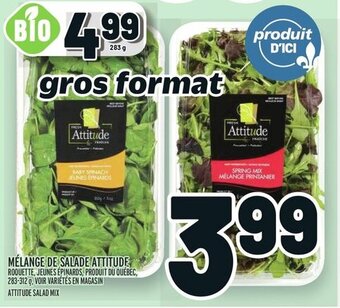 Metro ATTITUDE SALAD MIX offer