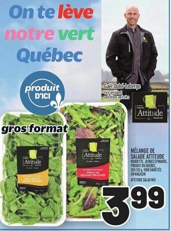 Metro ATTITUDE SALAD MIX offer