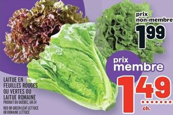 Metro RED OR GREEN LEAF LETTUCE OR ROMAINE LETTUCE offer