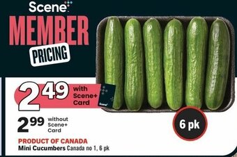 IGA Mini Cucumbers Canada no 1, 6 pk offer