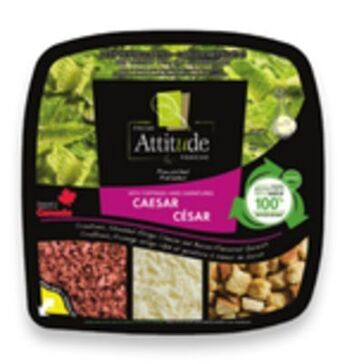 Walmart Fresh attitude salad kits offer