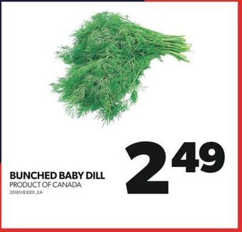 Real Canadian Superstore Bunched baby dill offer