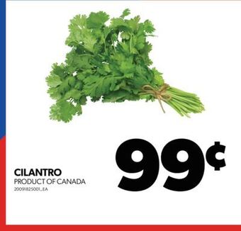 Real Canadian Superstore Cilantro offer