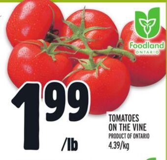 Metro Tomatoes on the vine offer