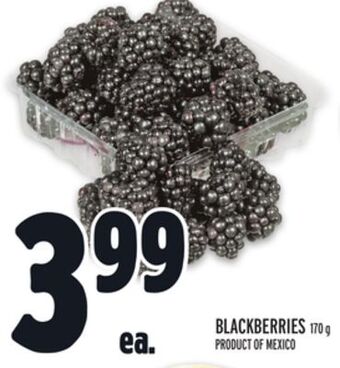 Metro Blackberries offer