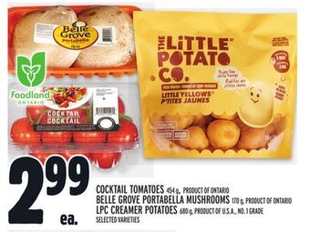 Metro Cocktail tomatoes offer