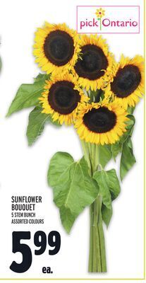 Metro Sunflower bouquet offer