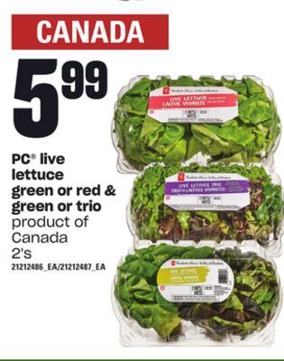 Independent Grocer Pc® live lettuce green or red & green or trio, 2's offer