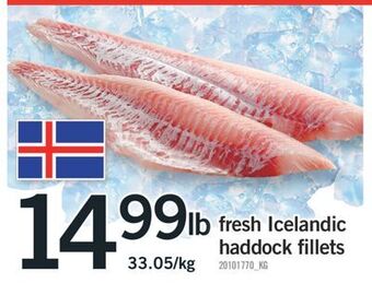 Fortinos Fresh icelandic haddock fillets offer