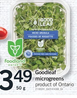 Fortinos Goodleaf microgreens, 50 g offer
