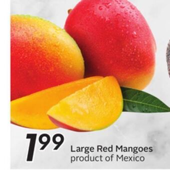 Sobeys Large red mangoes offer