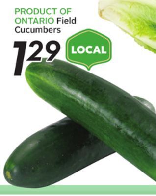 Sobeys Field cucumbers offer