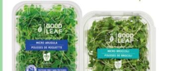 Sobeys Microgreens offer