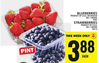 Food Basics Blueberries offer
