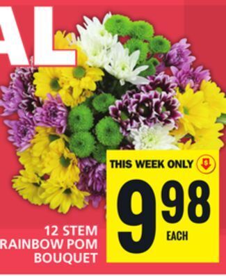 Food Basics 12 stem rainbow pom bouquet offer