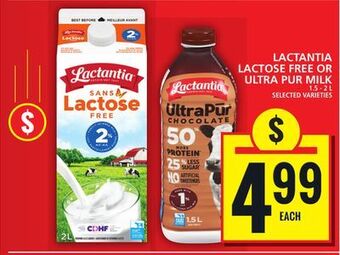 Food Basics Lactantia lactose free or ultra pur milk offer