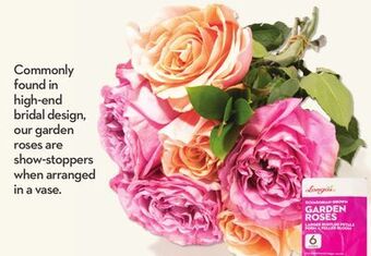 Longo's Longo's 6 stem garden rose bouquet offer