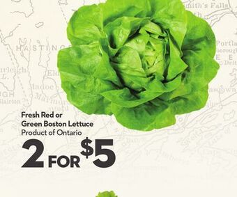 Longo's Fresh red or green boston lettuce offer