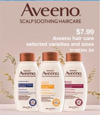 Loblaws Aveeno hair care offer