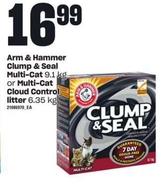 Loblaws Arm & hammer clump & seal multi-cat, 9.1 kg or multi-cat cloud control litter, 6.35 kg offer