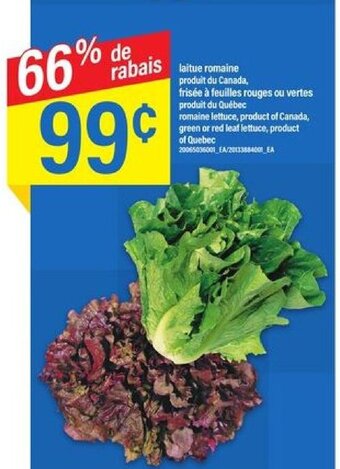 Maxi romaine lettuce offer